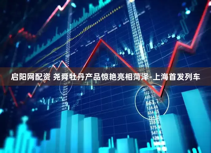 启阳网配资 尧舜牡丹产品惊艳亮相菏泽-上海首发列车